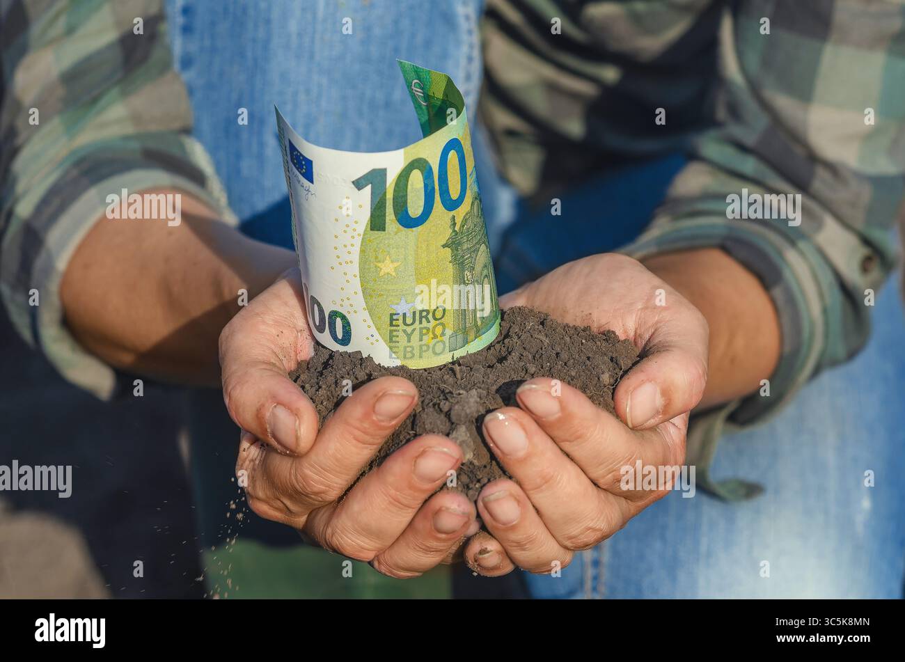 Palmiers fermiers avec terre avec billet de 100 euros. Affaires vertes, écologie. Concept d'investissement dans l'agriculture. Gros plan Banque D'Images