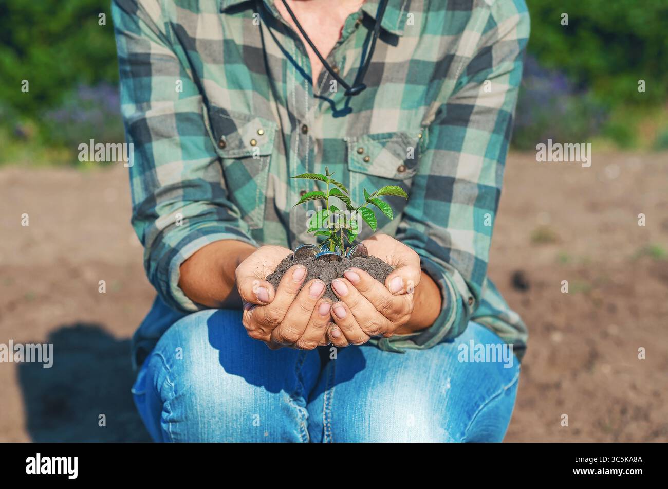 Palmiers femelles avec arbre vert poussant du sol avec des pièces de monnaie. Affaires vertes, éthique des affaires. Concept de croissance des bénéfices. Banque D'Images