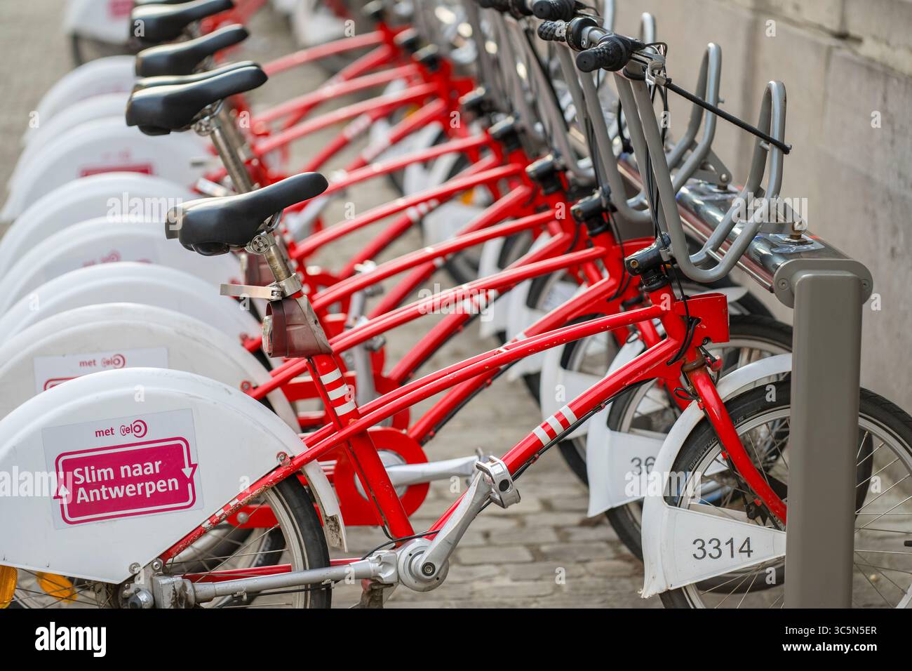 Anvers, Belgique, 19 juillet 2025 : vue de la rangée de vélos partagés garés par Velo Antwerpen Banque D'Images