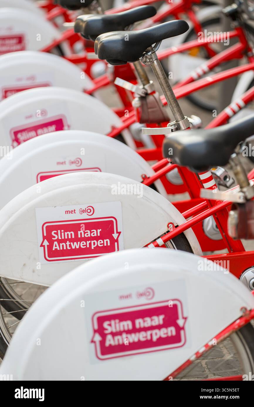 Anvers, Belgique, 19 juillet 2025 : vue de la rangée de vélos partagés garés par Velo Antwerpen Banque D'Images