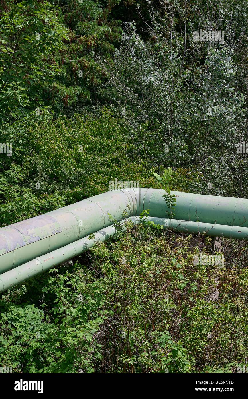 Fernwärmeleitung dans la végétation de grüner Banque D'Images