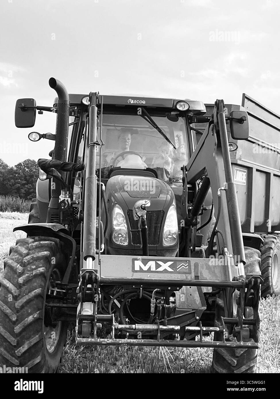 La moisson de blé 2025 dans le Nord de la France, le blé dans toutes ...