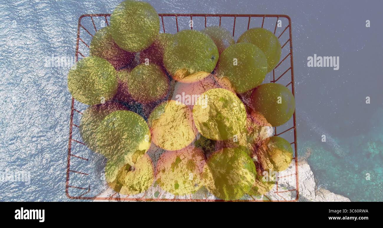 Affichage du panier de grille métallique rouge contenant des pommes vertes au-dessus de l'affleurement rocheux par la mer turquoise claire Banque D'Images