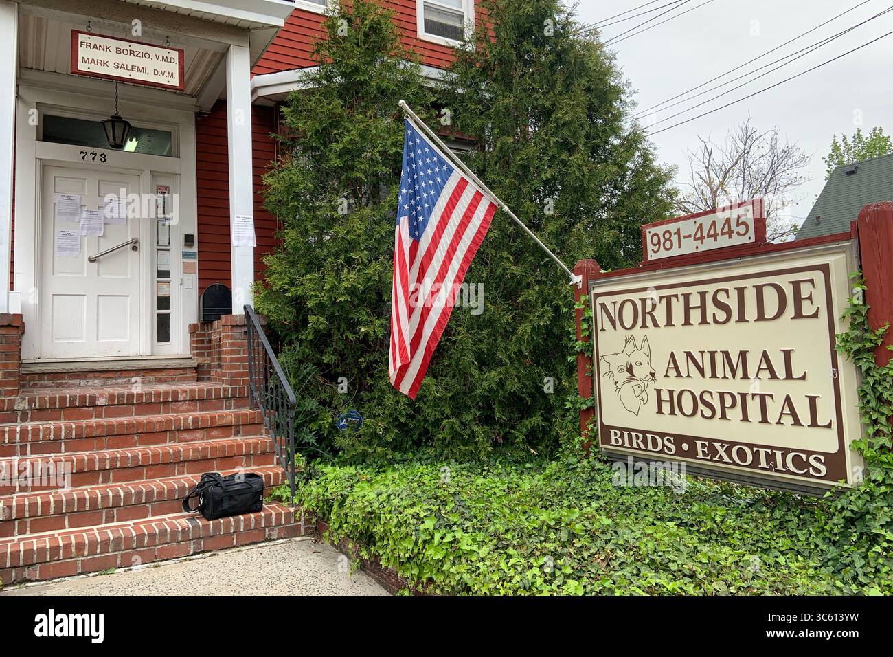 29 avril 2020, Staten Island, NY, États-Unis : Charlie le chat, extrêmement malade avec un œdème pulmonaire, attend d’être vu au Northside animal Hospital de Staten Island pendant l’épidémie de pandémie de COVID-19. La plupart des hôpitaux vétérinaires sont fermés sur Staten Island. Le propriétaire de Charlie l'a déposé dans un hôpital animalier de Northside. Elle s'est assise dehors pour attendre pendant que le vétérinaire prenait des radiographies et des analyses sanguines. La facture a été payée par téléphone. Aucun humain ne devait entrer dans le bâtiment pour assurer la sécurité des médecins et des infirmières. (Crédit image : © Krista Kennell/ZUMA Wire) Banque D'Images