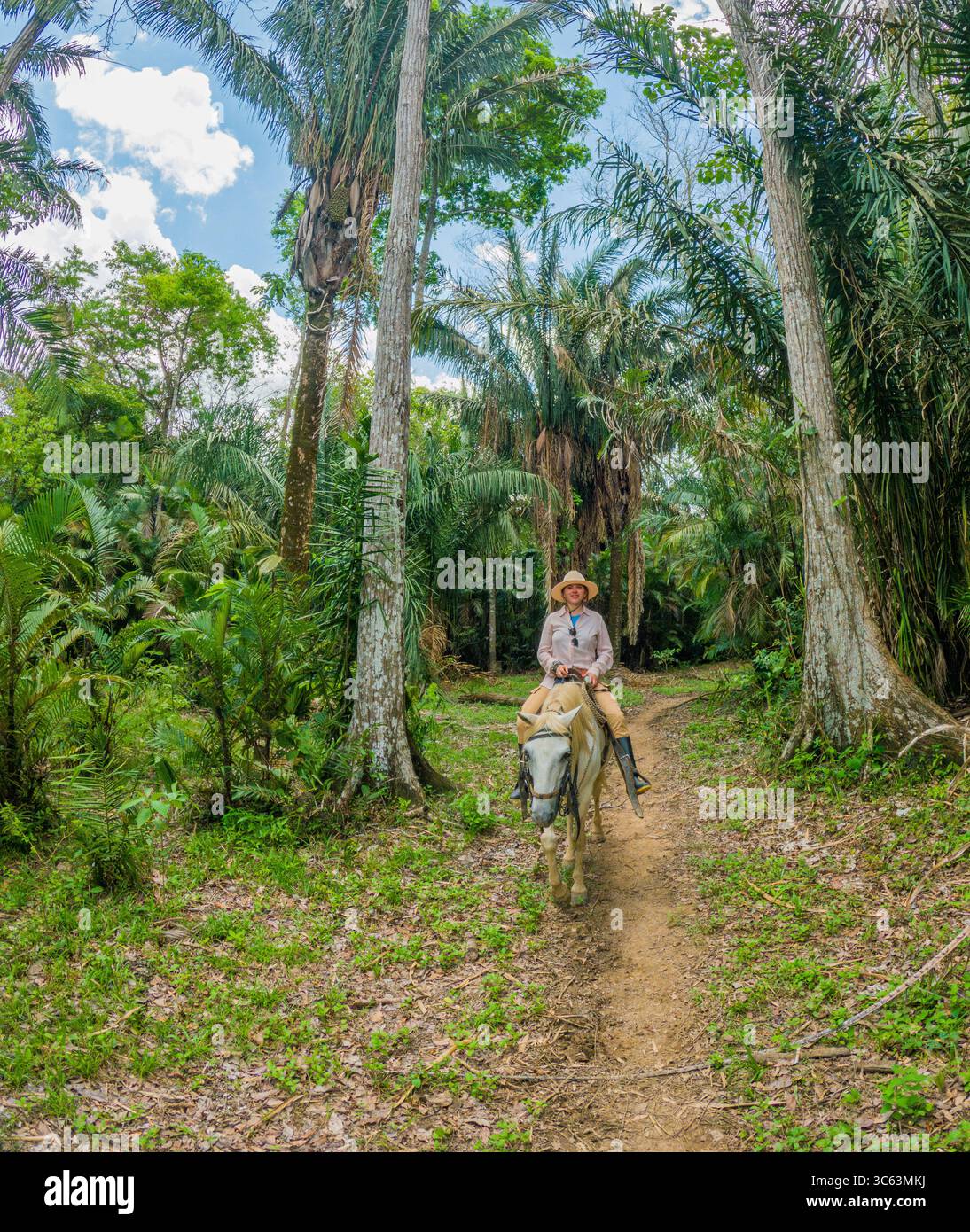 Une personne qui monte à cheval le long d'un sentier dans une forêt tropicale animée à Casanare, en Colombie, entourée d'une végétation luxuriante. Banque D'Images