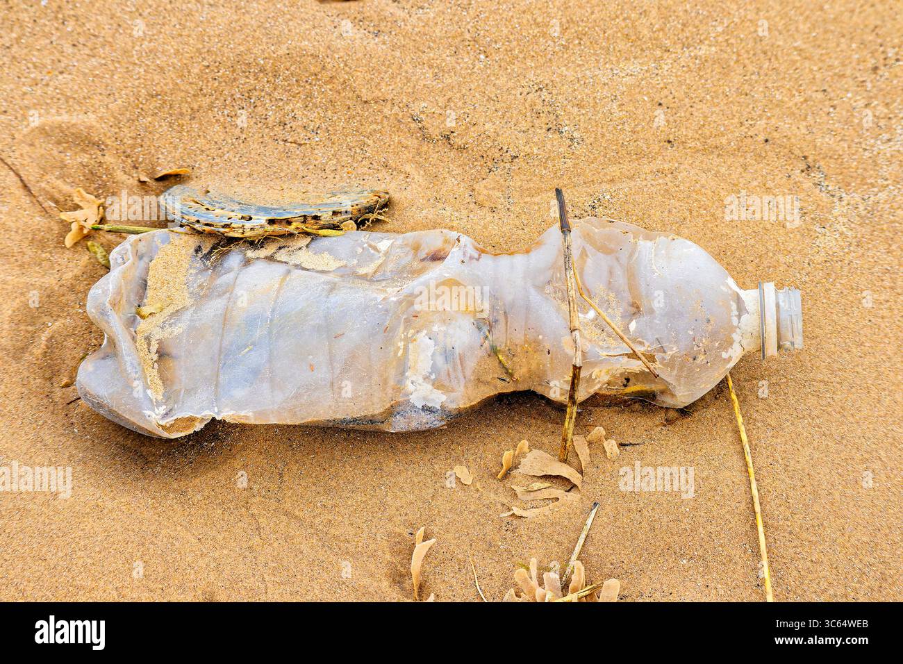 Une bouteille en plastique usagée, partiellement enfouie dans le sable doré. Banque D'Images