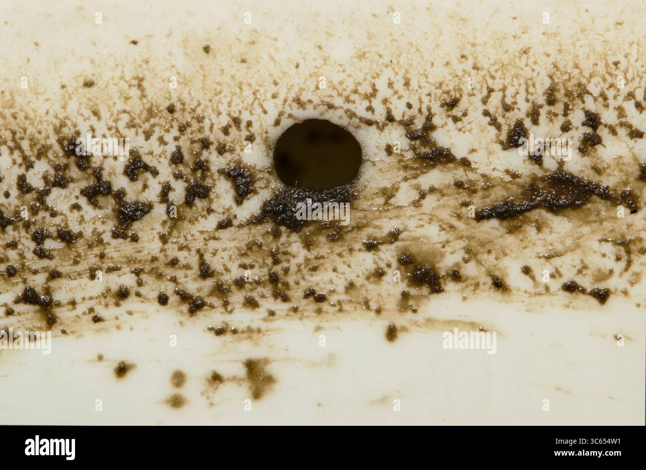 Segment racleur de tambour de lave-linge sale cassé et taches de graisse sale gros plan. Banque D'Images