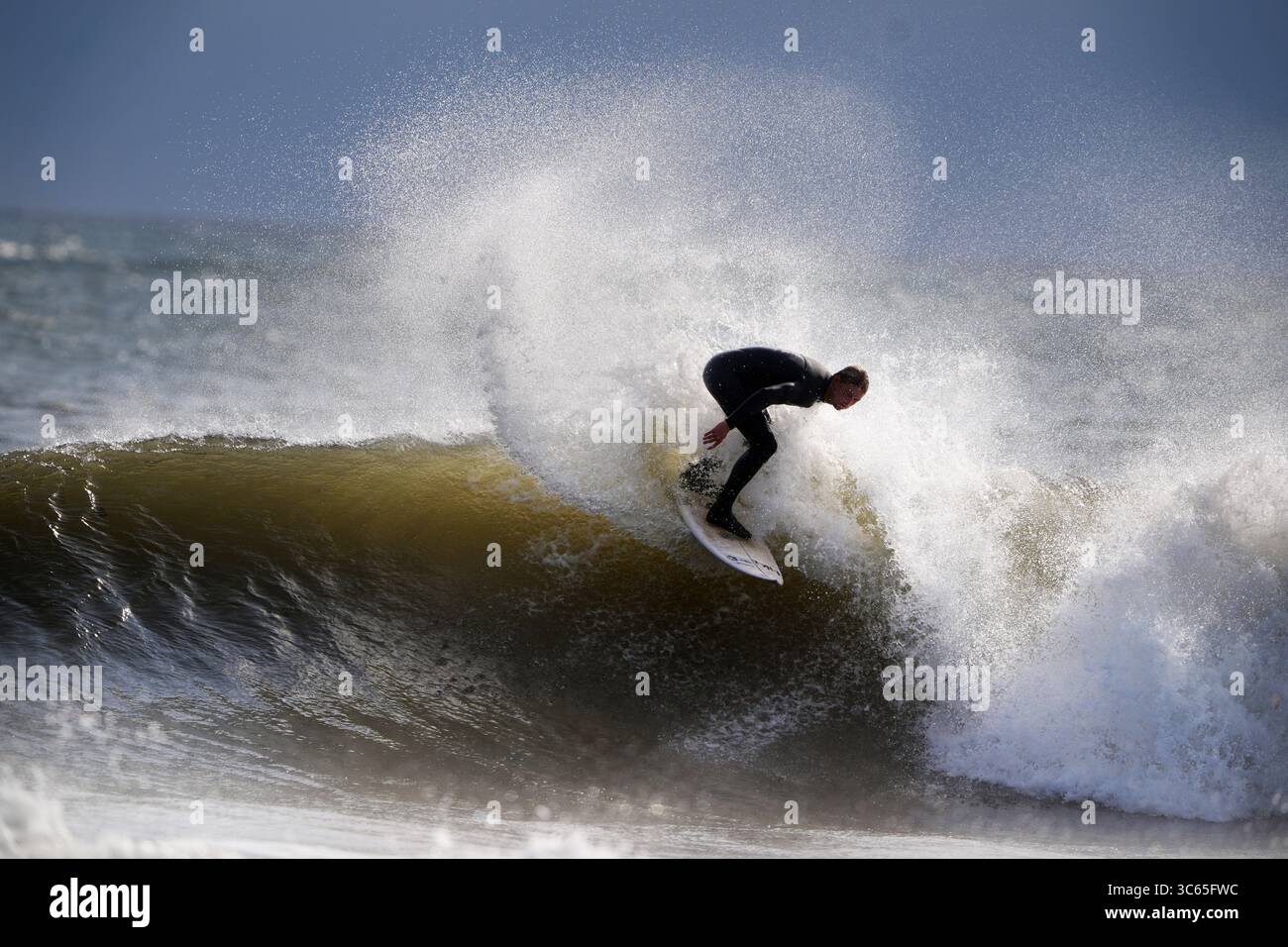 Surfeurs à la plage de Tynemouth Longsands sur la côte nord-est. Date de la photo : jeudi 31 juillet 2025. Banque D'Images