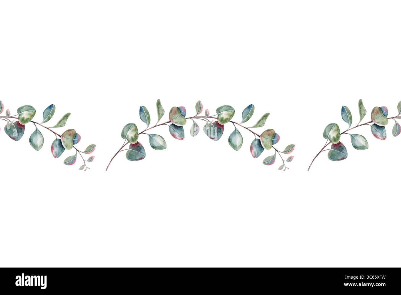 Bannière d'eucalyptus géométrique sans couture, branches avec des feuilles, ornement botanique rustique à l'aquarelle dessiné à la main isolé sur fond blanc. Banque D'Images