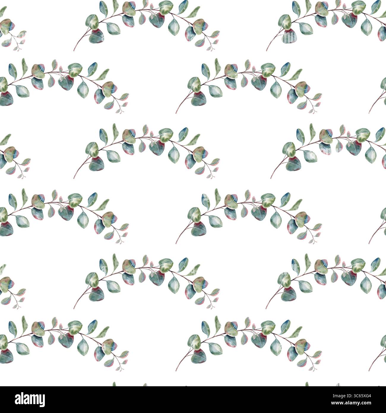 Motif géométrique sans couture d'eucalyptus, branches avec des feuilles, ornement botanique rustique à l'aquarelle dessiné à la main isolé sur fond blanc. Banque D'Images