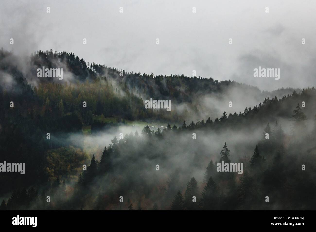 Vue sur les montagnes brumeuses voilées de nuages éthérés, les forêts vert foncé accrochées à des pentes abruptes, un paysage serein mais dramatique, Volgau, Autriche. Banque D'Images