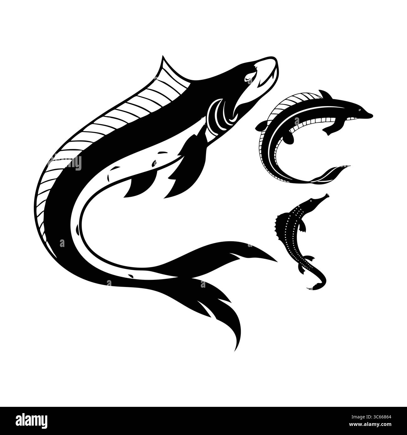 Illustrations artistiques en noir et blanc de poisson d'anguille d'Amérique avec motifs de faune marine Illustration de Vecteur