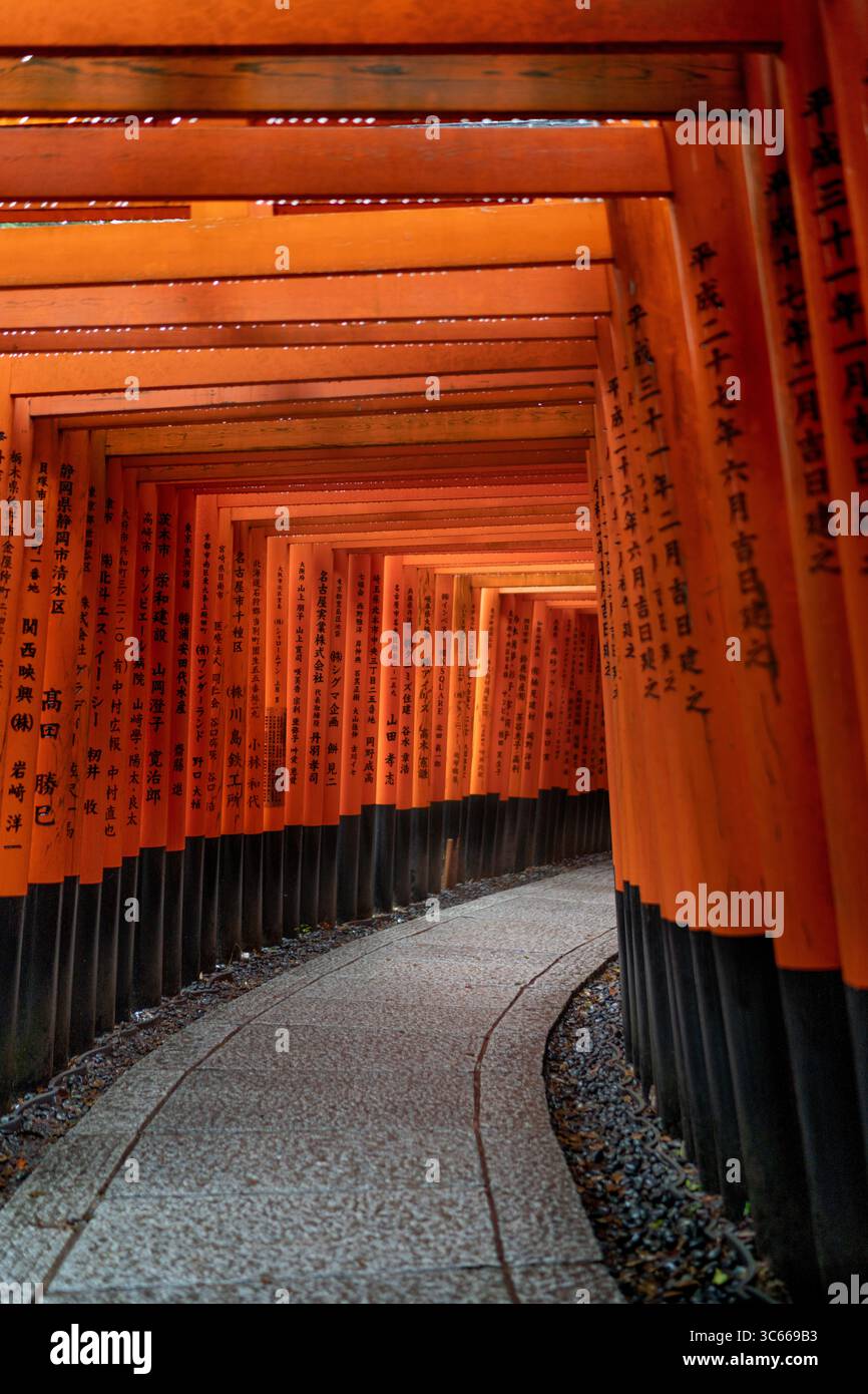 Vue des portes vermillon torii bordant un chemin de pierre sinueux, créant un tunnel immersif de couleurs vibrantes et d'importance culturelle, Kyoto, Kyoto, Japa Banque D'Images