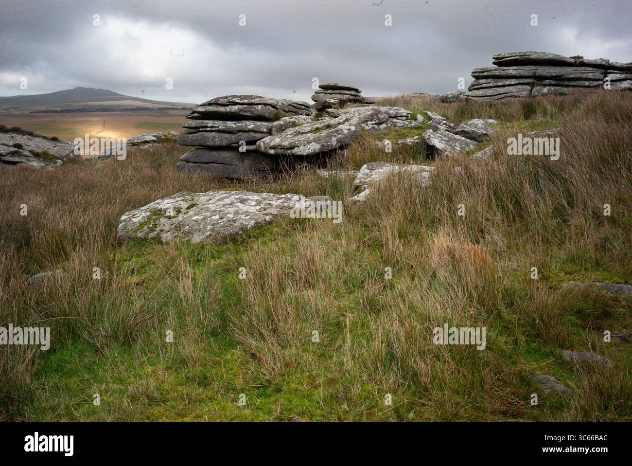 Brun sauvage, montagne en arrière-plan vue de Bodmin Moor, Cornouailles Angleterre Banque D'Images