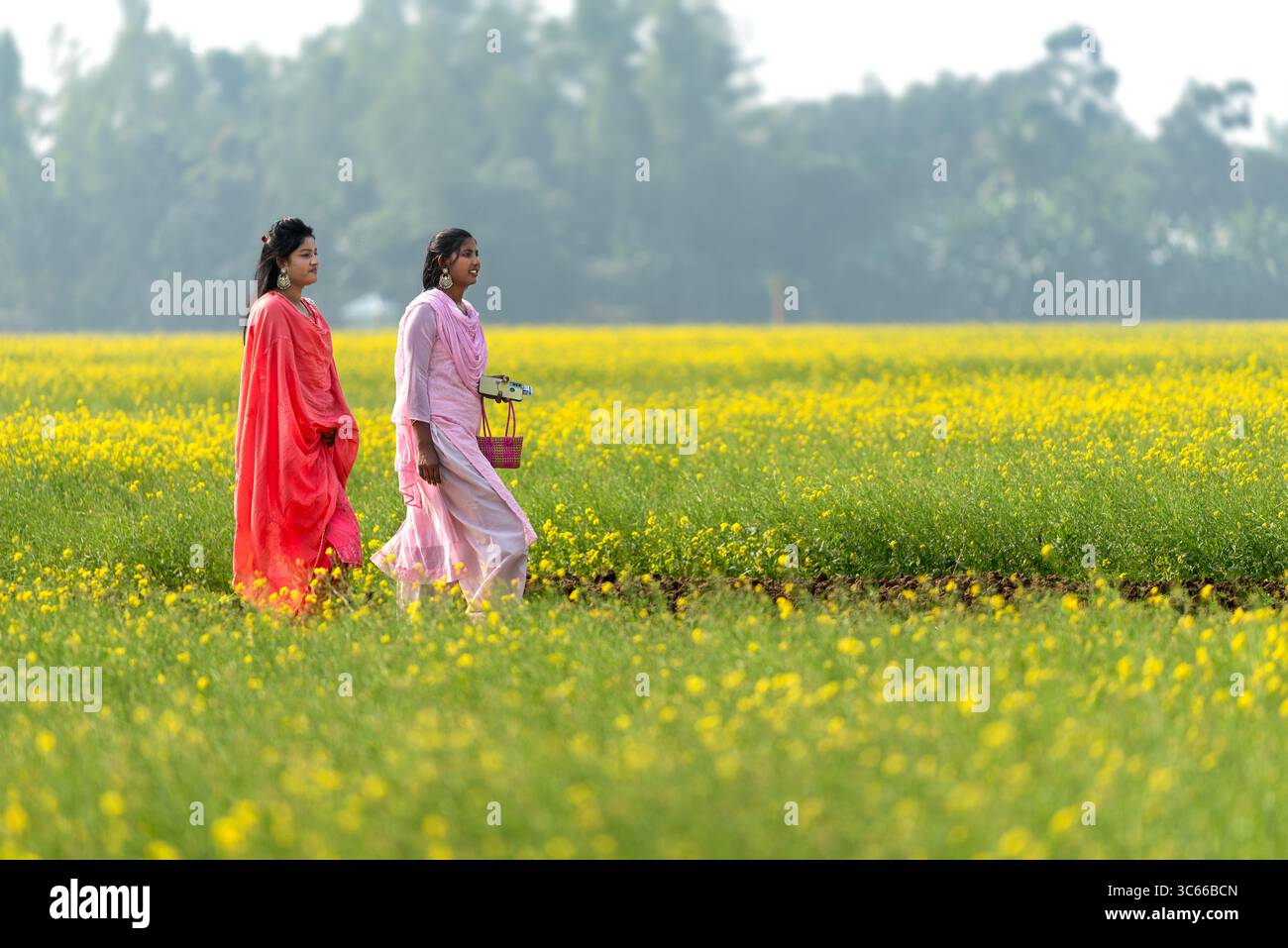 Bogura, Bangladesh - 24 décembre 2017 : vue de deux femmes marchant gracieusement dans un champ de moutarde jaune vibrant, leurs robes colorées contrastant avec l'étendue florale lumineuse. Banque D'Images