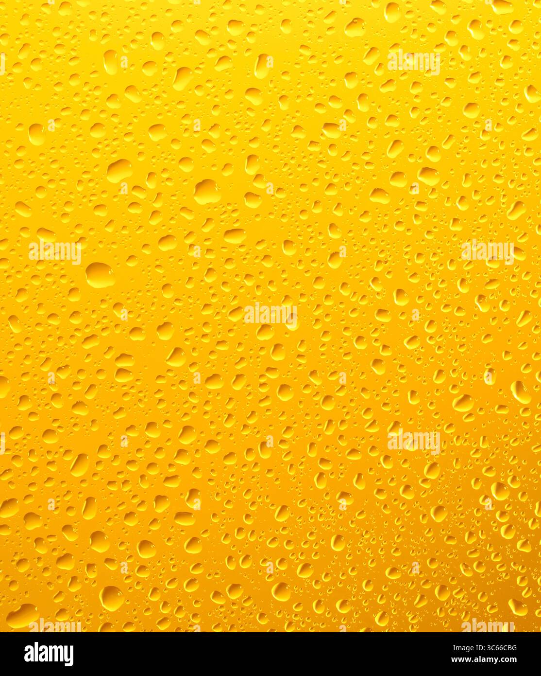 Gros plan d'un verre de bière froid avec condensation Banque D'Images