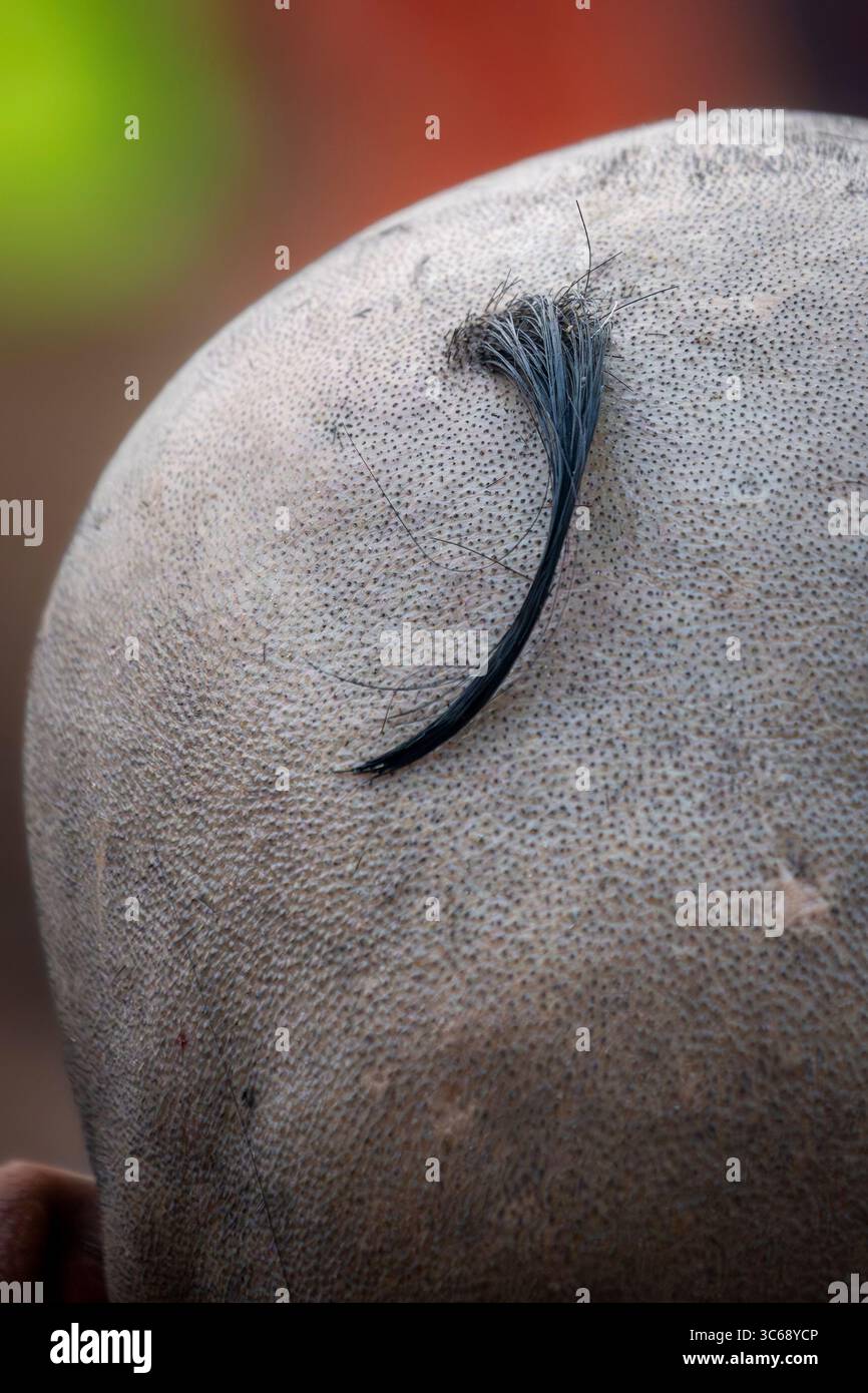 Une tête rasée avec shika, Varanasi, Inde Banque D'Images