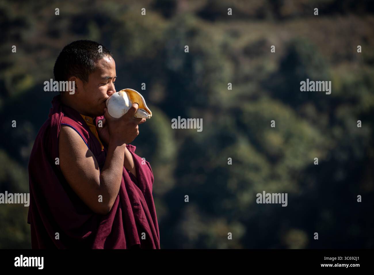 Un moine souffle une coquille de conque, monastère de Bomdila, Arunachal Pradesh, Inde Banque D'Images