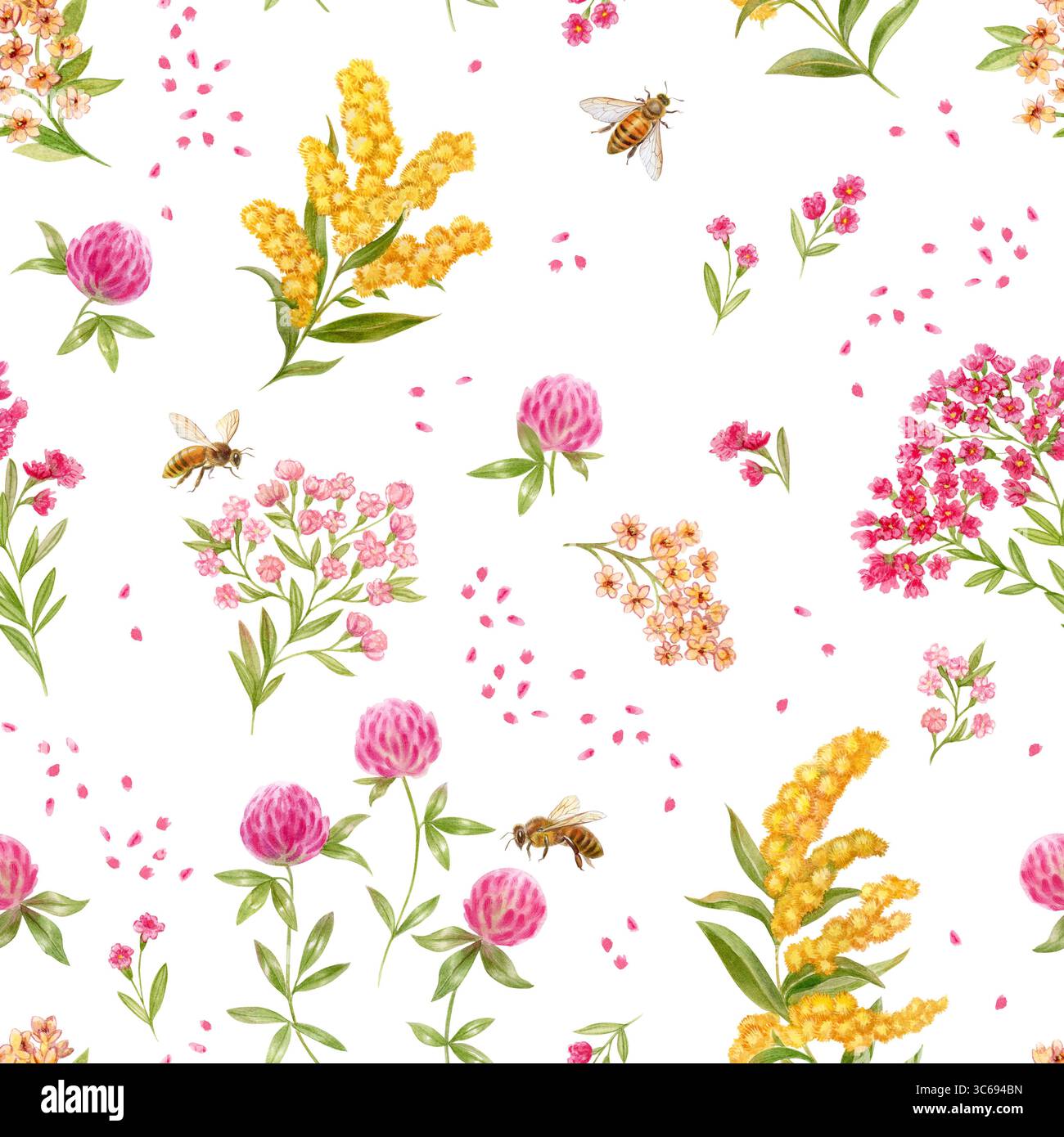 Fleurs sauvages et abeilles, motif. Illustrations aquarelles. Fleurs sauvages et abeilles, motif. Illustrations aquarelles. Banque D'Images