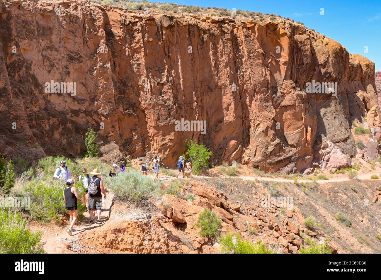 Moab, Utah, États-Unis - 25 mai 2025 : groupe de personnes faisant une randonnée sur un sentier rocheux près de Moab Banque D'Images
