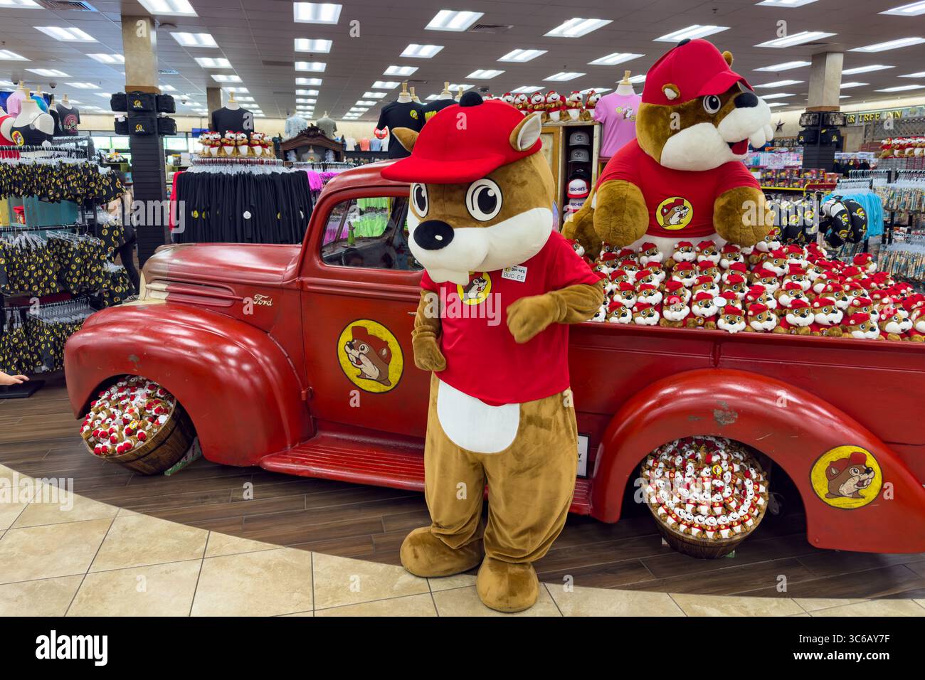 Une mascotte Buc-EE The Beaver pose pour des photos dans un dépanneur du centre de voyage Buc-EE à Denton, Texas. Banque D'Images