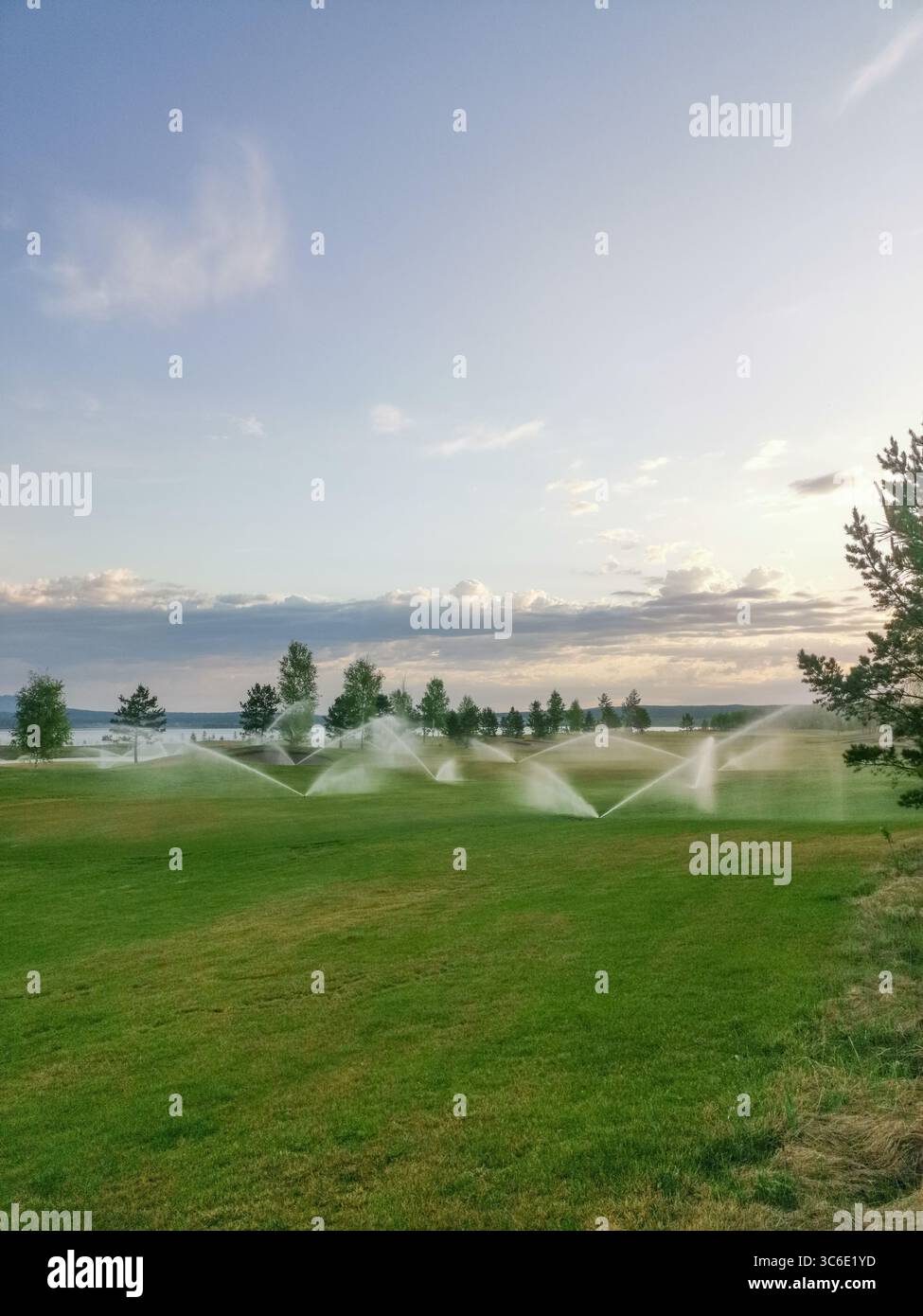 Arroseurs d'irrigation sur terrain de golf Banque D'Images