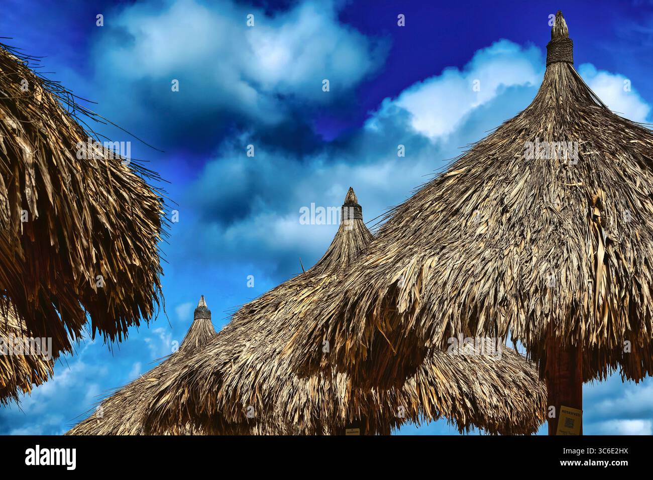 Abri de plage Palapas sur Palm Beach Aruba. Banque D'Images