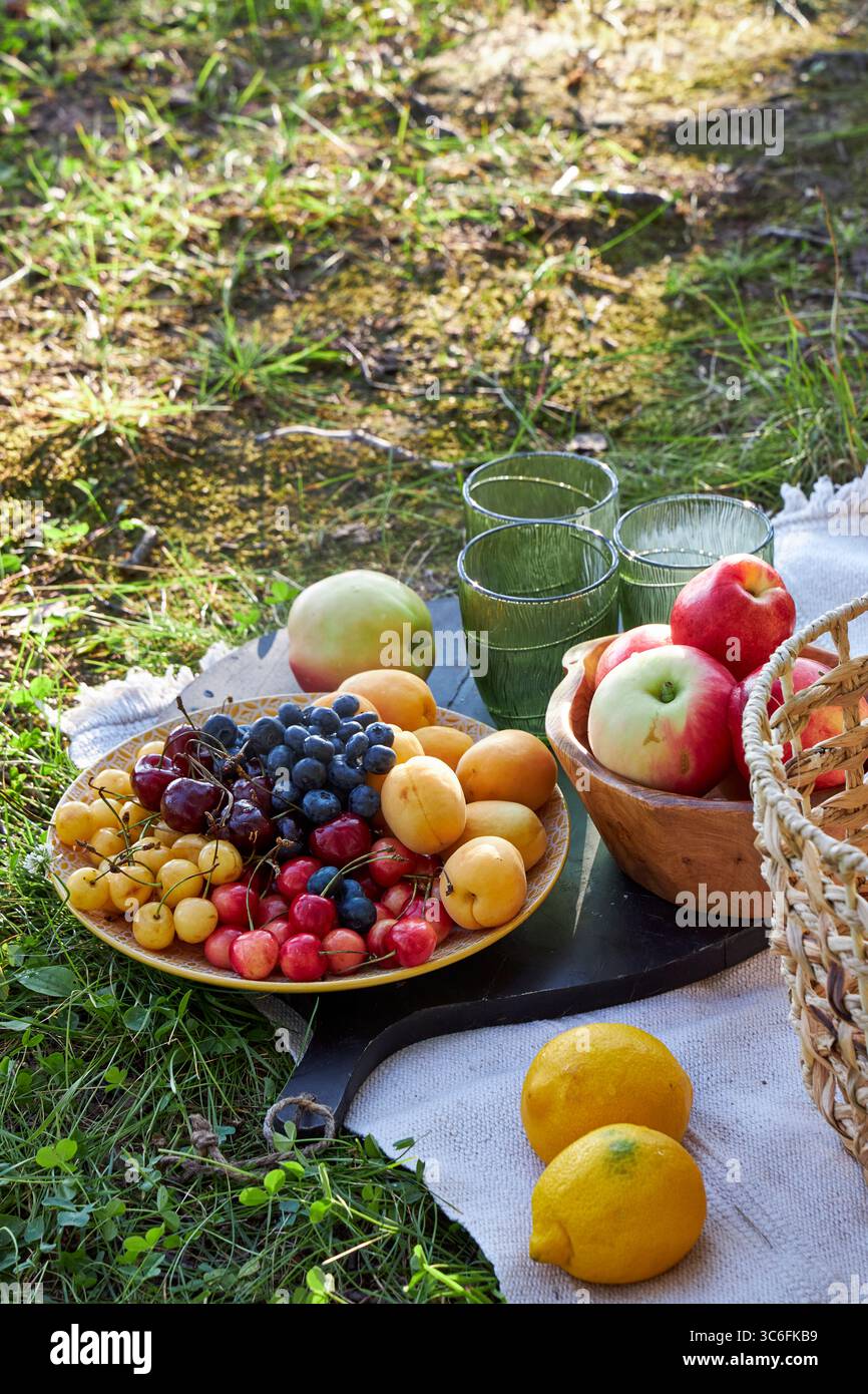 Pique-nique d'été avec fruits frais, pommes, raisins, cerises, citrons et panier en osier sur une couverture en herbe verte. Scène extérieure relaxante, nourriture saine, Banque D'Images