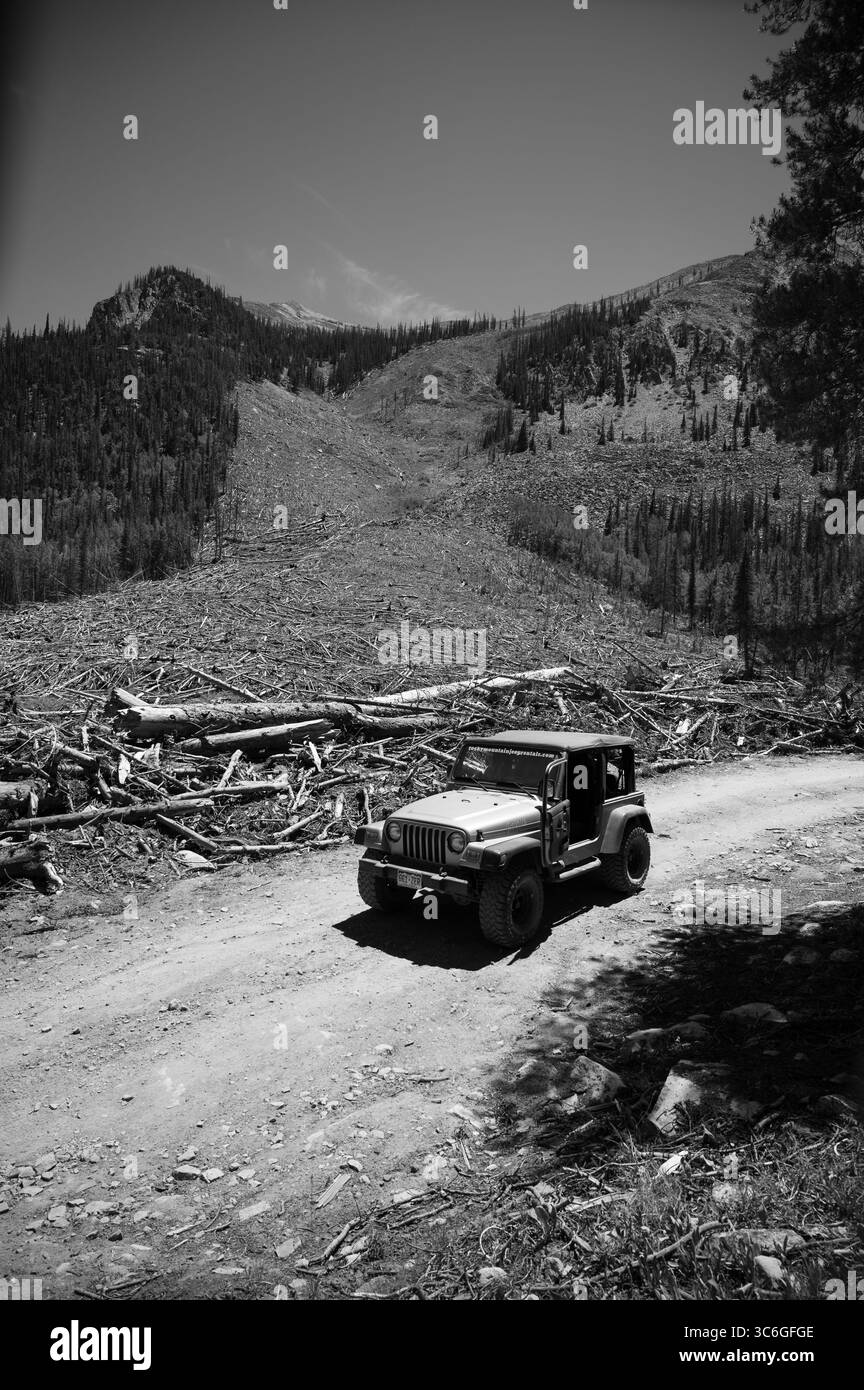 Toboggan terrestre dans le MT de Co Banque D'Images