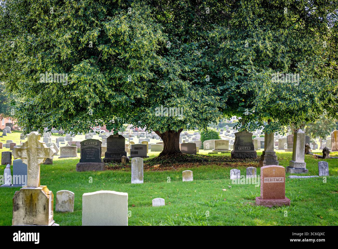 ALEXANDRIA, Virginie — le cimetière catholique Mary's Cemetery est situé dans le quartier historique de la vieille ville d'Alexandria. Le cimetière, créé en 1795, est l'un des plus anciens cimetières catholiques de la région métropolitaine de Washington DC. L'église catholique Mary's Church, qui supervise le cimetière, a été fondée par des immigrants irlandais et allemands à la fin du XVIIIe siècle. Le cimetière contient des tombes datant du début des années 1800 à nos jours, y compris des monuments et des pierres tombales reflétant près de deux siècles d'histoire de la communauté catholique. Vieille ville d'Alexandrie, situé le long de la rivière Potomac appr Banque D'Images