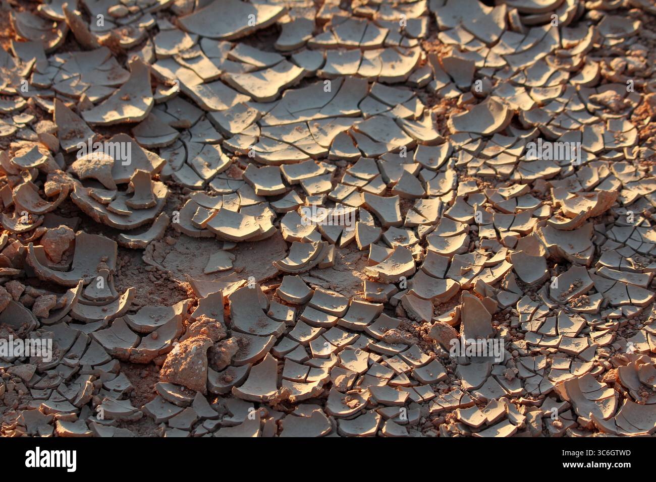Vue rapprochée d'un sol argileux cuit au soleil avec des fissures profondes et irrégulières, mettant en évidence les effets de la sécheresse et de l'exposition, souvent rencontrés lors de la construction Banque D'Images