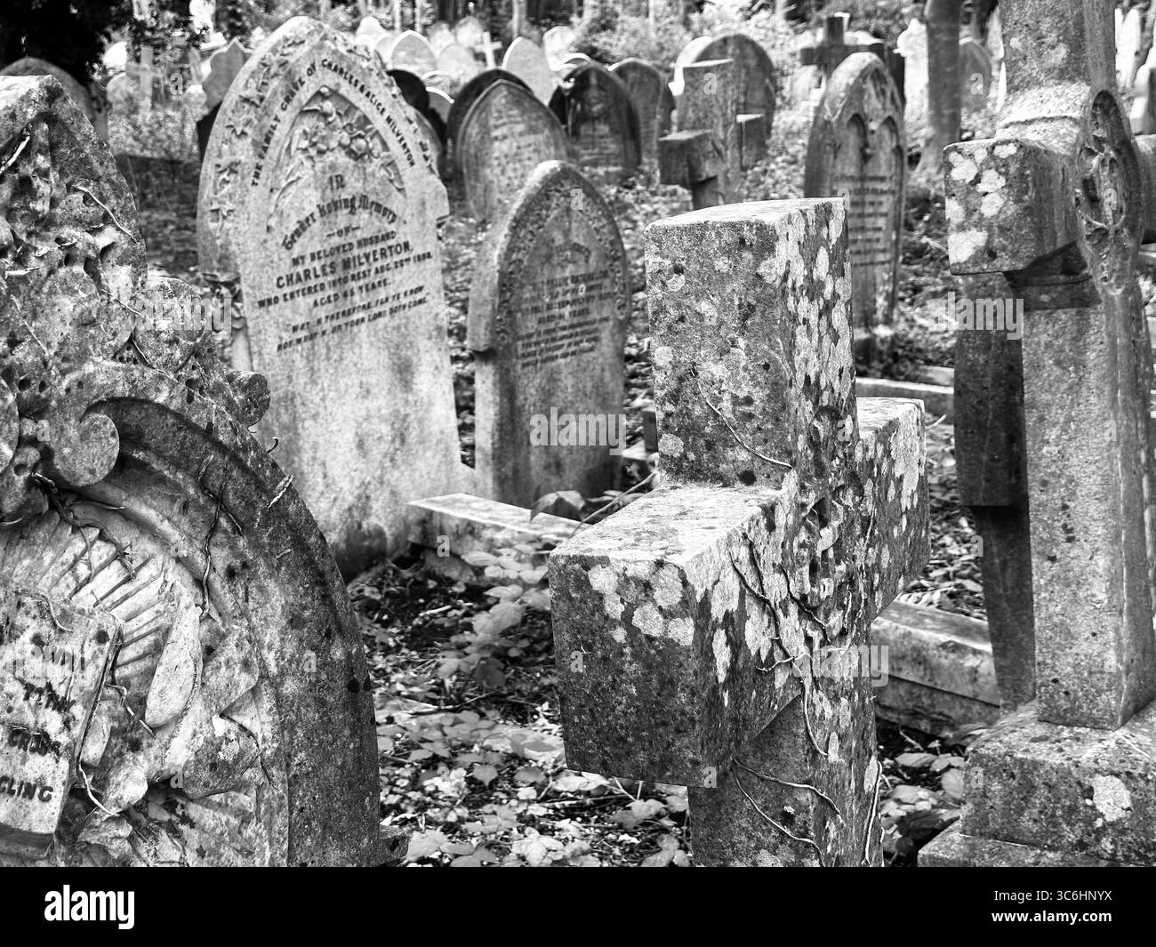 Vieilles pierres tombales au cimetière de Highgate, Londres, Royaume-Uni - Image de stock capturée avec un smartphone Vieilles pierres tombales au cimetière de Highgate, Londres, Royaume-Uni - Image de stock capturée avec un smartphone