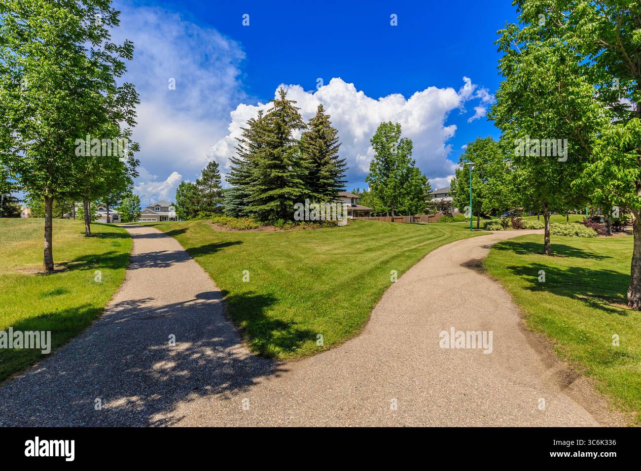 Parc avec deux chemins, dont un chemin de gravier. L'autre est un chemin d'herbe. Le chemin d'herbe est entouré d'arbres. Avalon Park est situé dans l'Av Banque D'Images