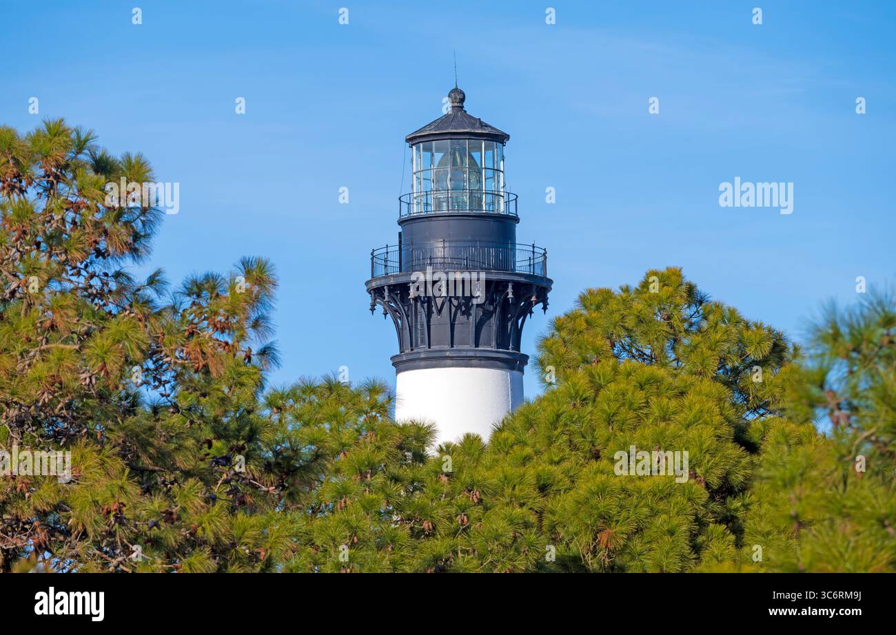 Phare apparaissant au-dessus des Loblolly Pines sur Bodie Island en Caroline du Nord Banque D'Images