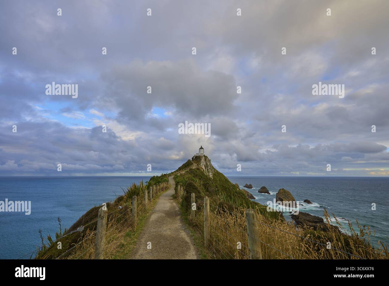 Chemin étroit vers le phare sur une falaise avec ciel sauvage et mer, été, phare de Nugget point, Ahuriri Flat, Otago, île du Sud, Nouvelle-Zélande Banque D'Images
