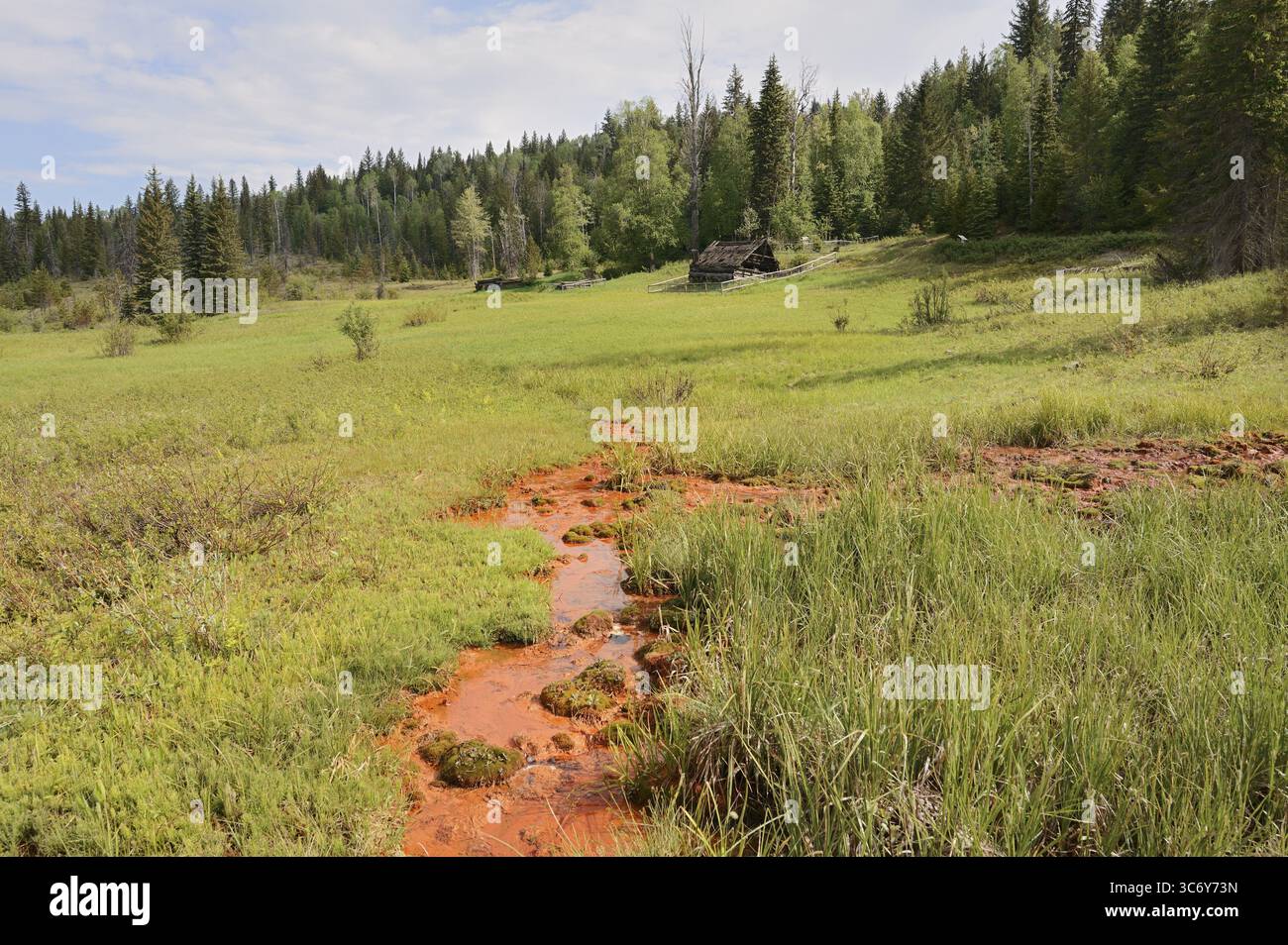 Sources minérales, parc provincial Wells Gray, Colombie-Britannique, Canada Banque D'Images Sources minérales, parc provincial Wells Gray, Colombie-Britannique, Canada Banque D'Images
