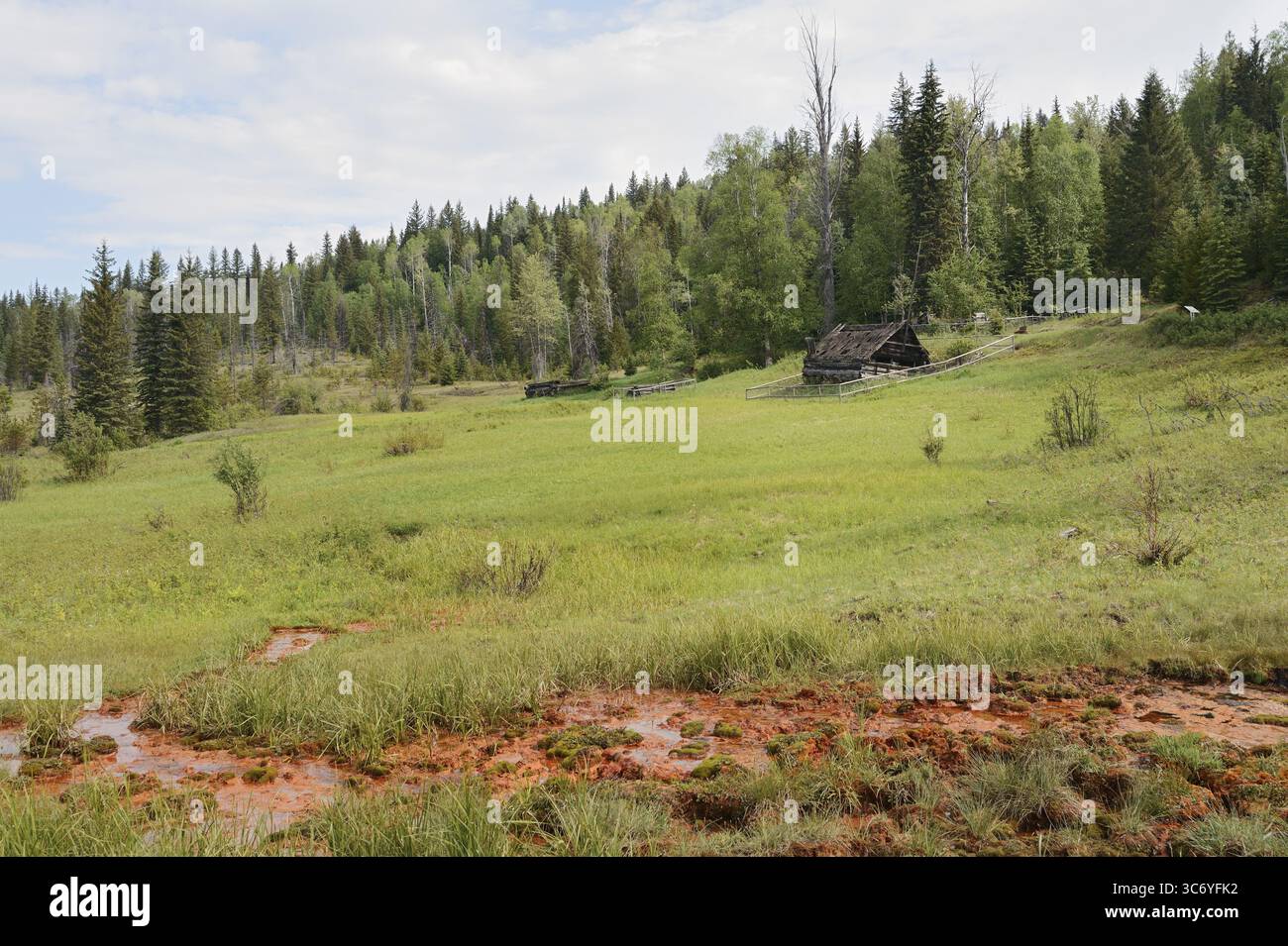 Sources minérales, parc provincial Wells Gray, Colombie-Britannique, Canada Banque D'Images Sources minérales, parc provincial Wells Gray, Colombie-Britannique, Canada Banque D'Images