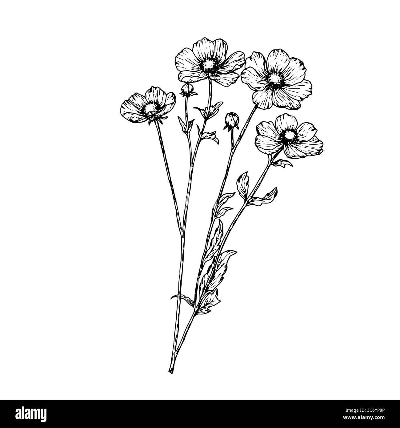 Fleurs sauvages de forêt avec des feuilles et des bourgeons, croquis noir et blanc. Illustration vectorielle. bouquet de fleurs sauvages isolé sur fond blanc. Thème de Illustration de Vecteur