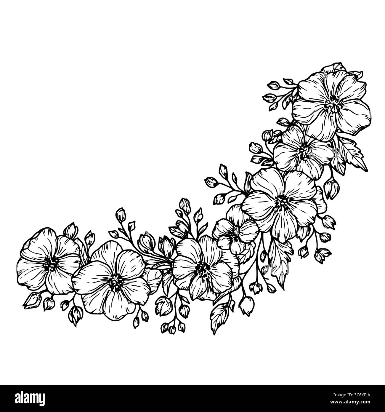 Bouquet de fleurs avec pétales, bourgeons et feuilles, croquis noir et blanc. illustration vectorielle. Branche de rose musquée, isolée sur fond. Thème du sprin Illustration de Vecteur