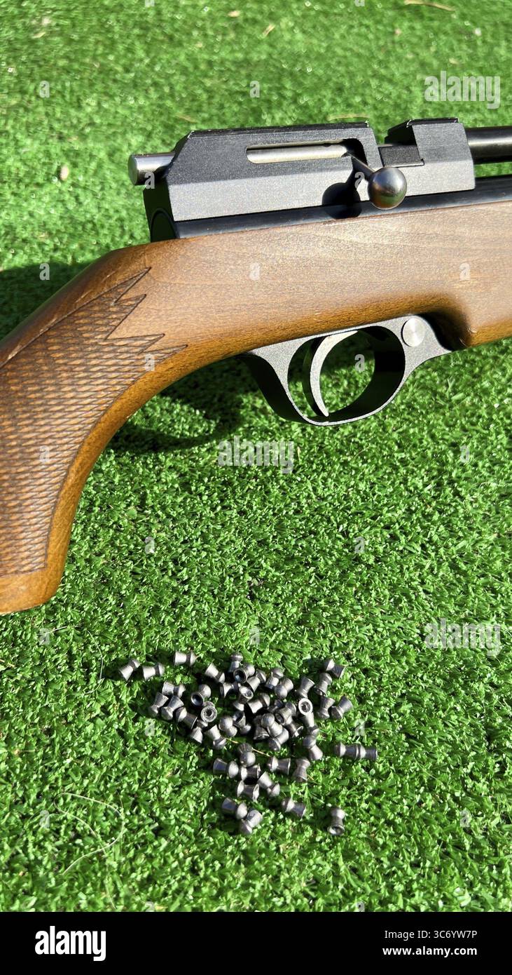 Gros plan d'un fusil d'entraînement avec des munitions de plomb sur gazon artificiel Banque D'Images