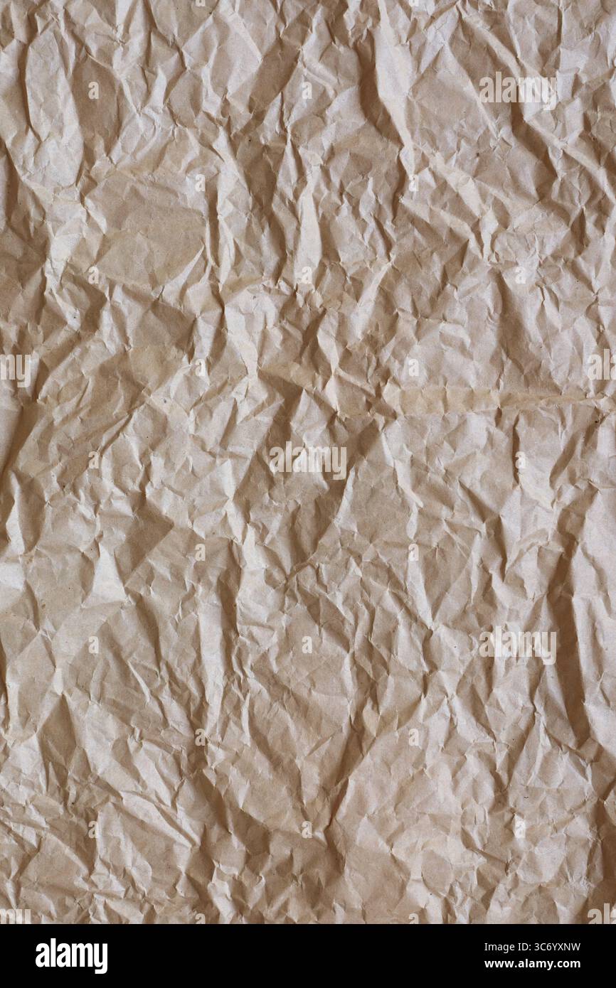 Le papier froissé brun fournit un fond texturé, idéal pour divers projets de design nécessitant une esthétique vintage ou naturelle Banque D'Images