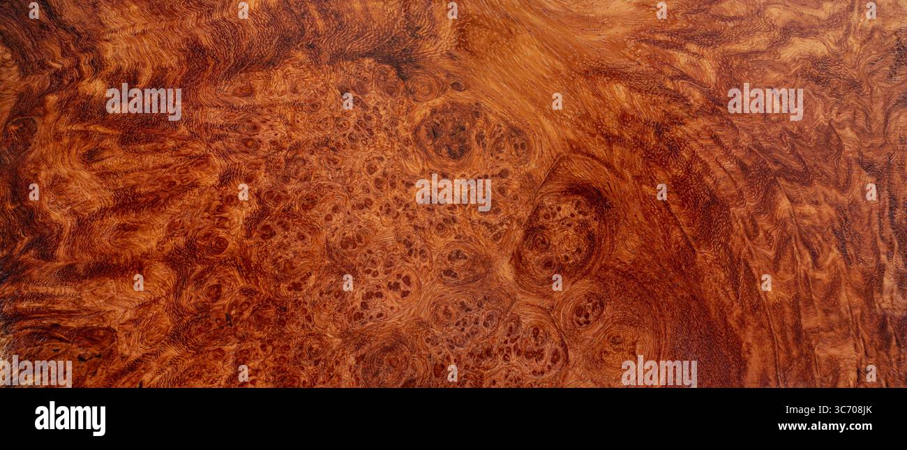Nature afzelia burl bois rayé, bois exotique beau motif texture fond Banque D'Images