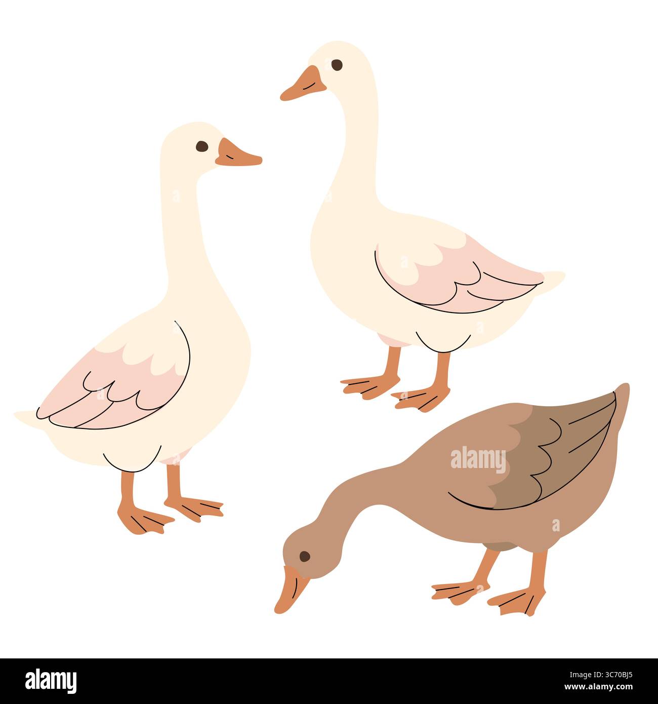 Illustration plate de trois oies dans différentes poses et couleurs. Style de dessin animé minimal avec des tons doux, idéal pour les livres pour enfants, les thèmes de la ferme Illustration de Vecteur