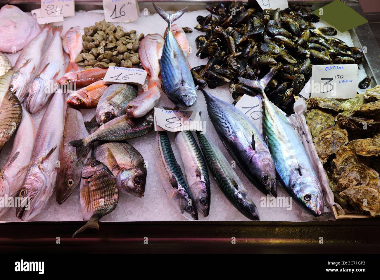 Maquereaux frais à la section poisson à la halle du marché local Mercat Central à Alicante, Espagne. Cuisine espagnole. Banque D'Images