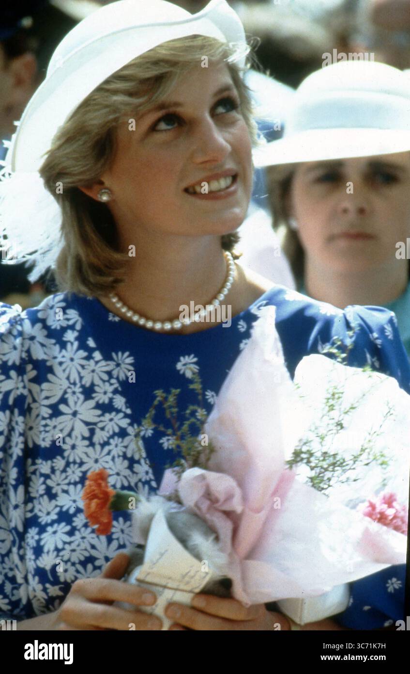 Diana, princesse de Galles Banque D'Images