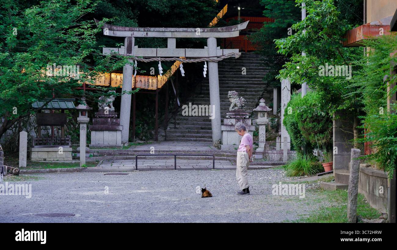 Un homme âgé et un chat errant se font face devant une porte traditionnelle Shinto torii à Kyoto, au Japon Banque D'Images