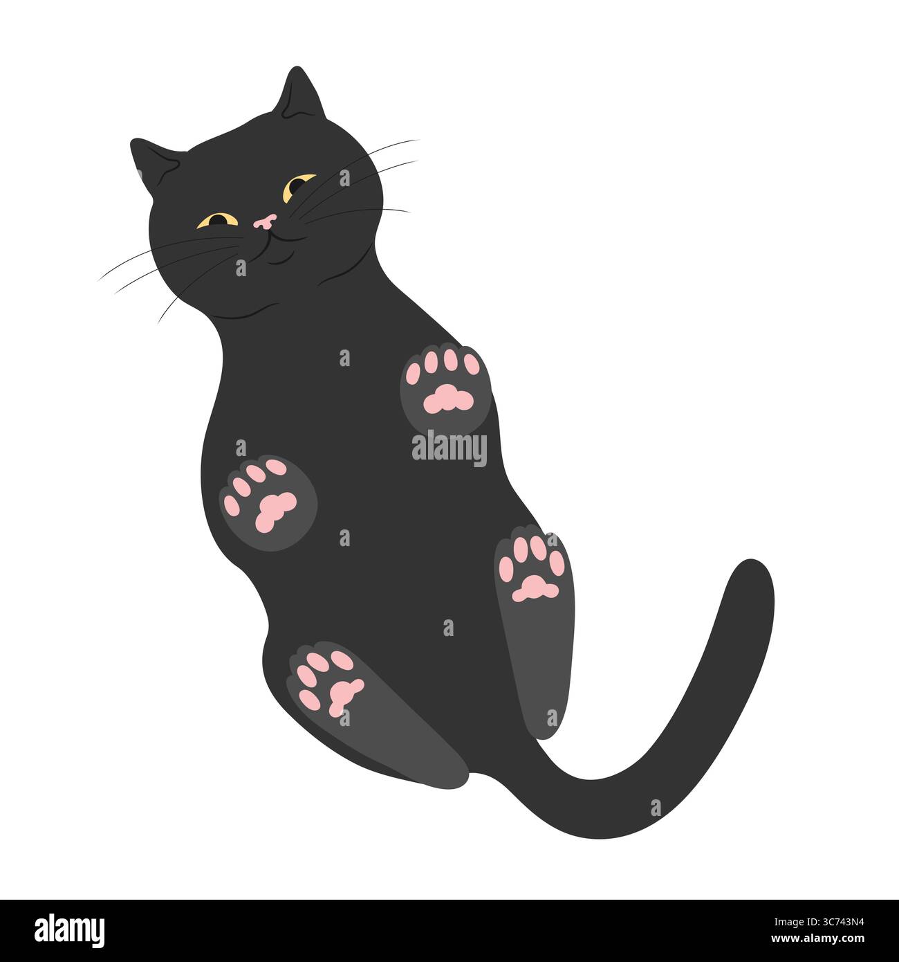 Chat mignon debout sur la surface de verre et regardant vers le bas. Vue de dessous du chat debout. Illustration vectorielle Illustration de Vecteur
