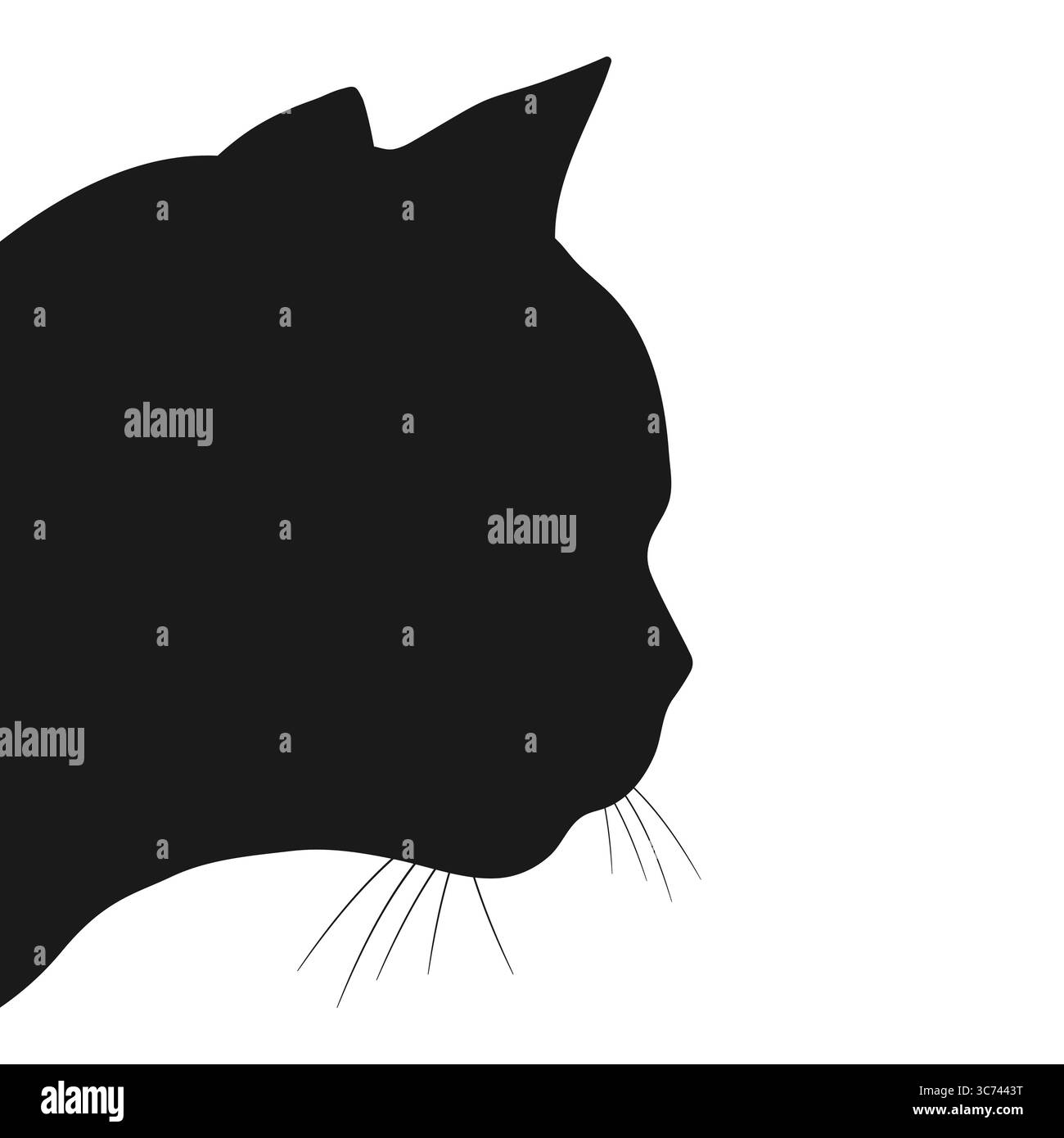 Aperçu de la silhouette de la tête de chat, vue latérale. Silhouette de visage de chat dans le profil. Illustration vectorielle. Illustration de Vecteur