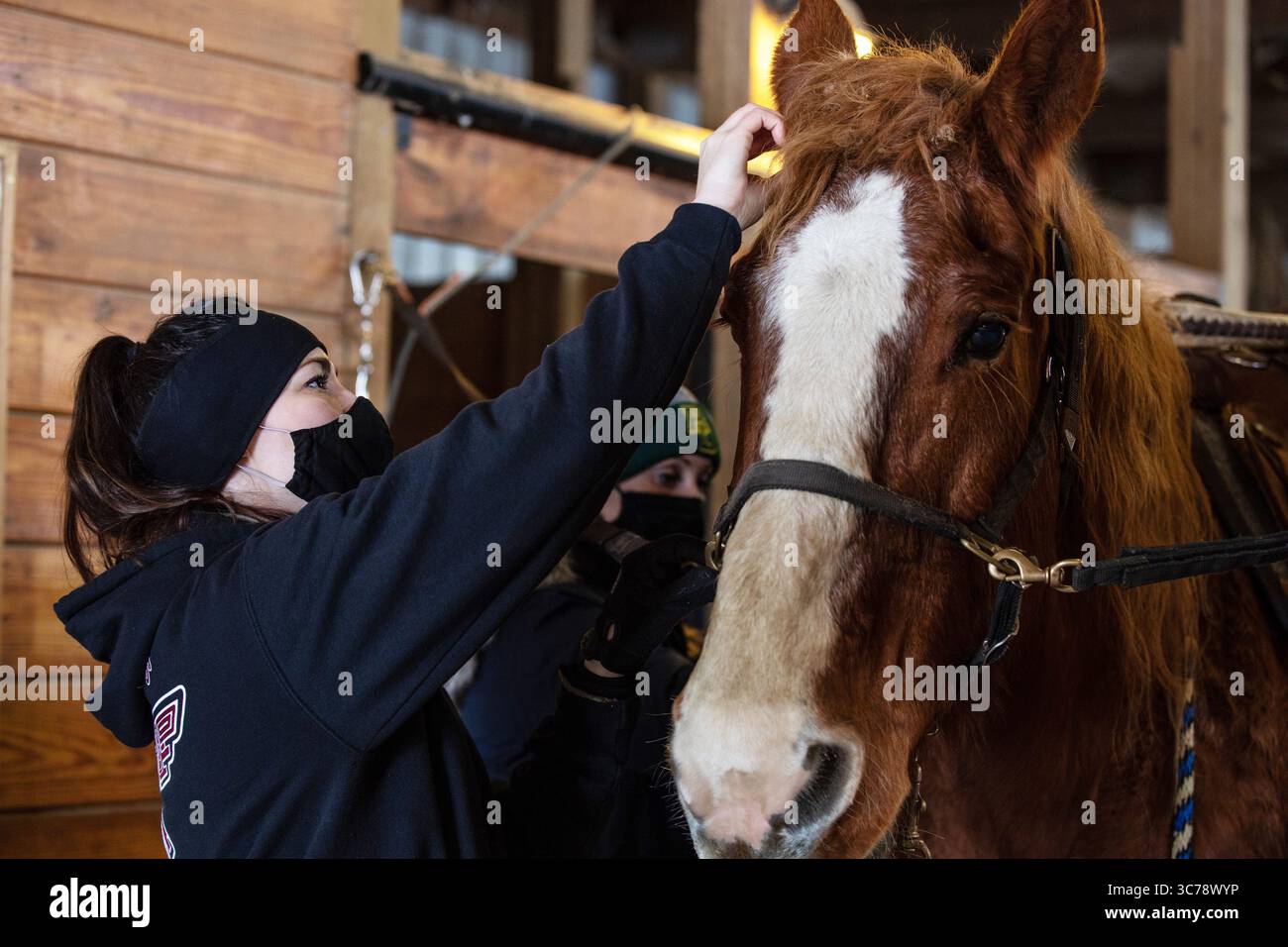 8 janvier 2021 - Burnett, Wisconsin, États-Unis - Capitaine Meghan Horn, à gauche, psychologue clinicienne du 98e combat et contrôle du stress opérationnel, 62e brigade médicale, et Major Alysia Franco, au centre, officier de liaison avec Urban augmentation Medical Task Force-531, peigne à travers la crinière de Katie Sue lors d'une sortie de thérapie équine à Burnett, Wisconsin, le 8 janvier 2021. Le ministère de la Défense des équipes de soutien religieux et de santé comportementale assignées pour soutenir les prestataires médicaux militaires dans le Wisconsin planifient régulièrement des activités destinées à soutenir le service membersâ€™ mental, social Banque D'Images