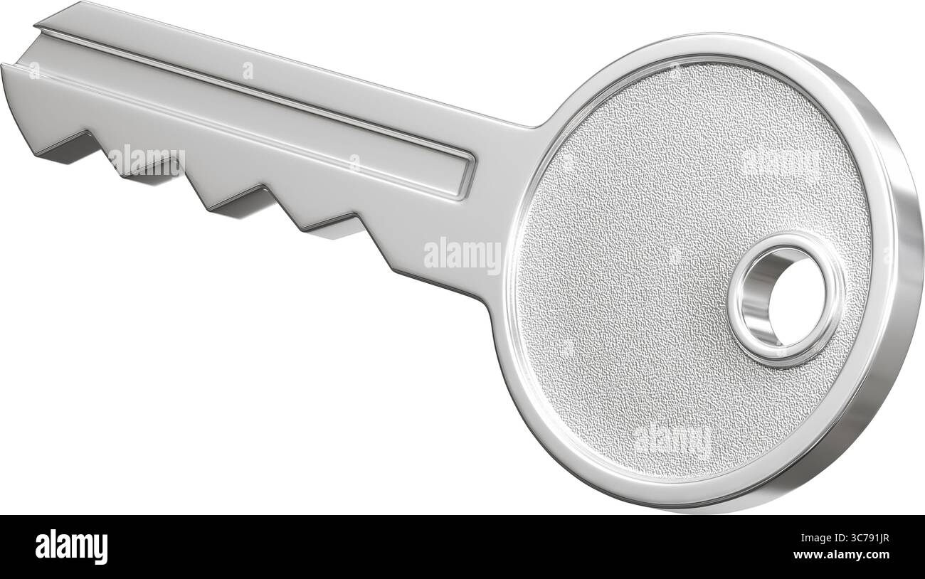 Clé de modèle isolée sur fond blanc pur comme atout pour les composites Banque D'Images